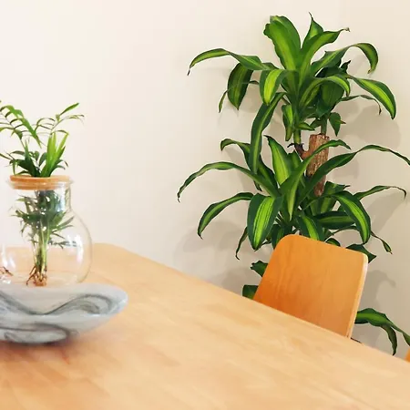Apartamento Invicta *