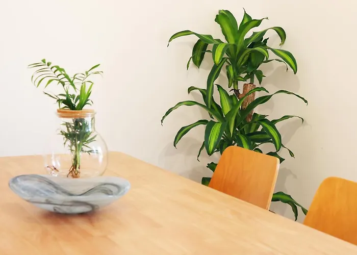 Apartament Invicta *